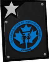 North Star Plaque Black Acrylic and Brushed Aluminum composition with Clear Acrylic overlay (8" x 10" x 1/2") Screen-printed