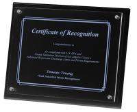 2 Panel Black Radiant Plaque with Clear Acrylic Overlay (8" x 10" x 3/4") Screen-printed